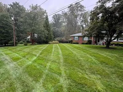 Custom outdoor landscaping experts serving Limestone, TN - Jaynes Lawn Mowing Service