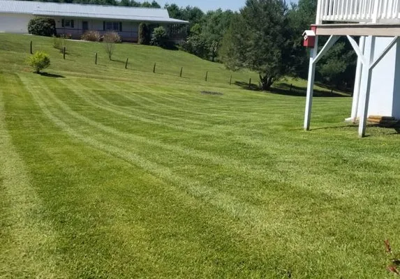 Jaynes Lawn Mowing Service Logo