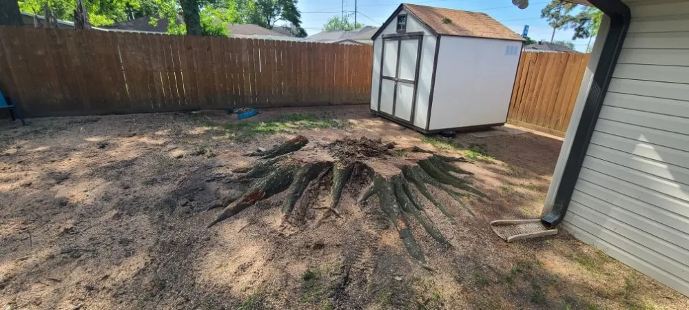 Trusted landscape installation in Slidell, LA - Jayroe's Stump Grinding
