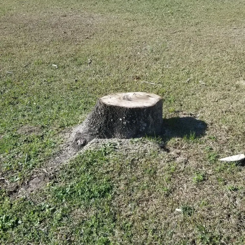 Professional landscaping services in Slidell, LA by Jayroe's Stump Grinding