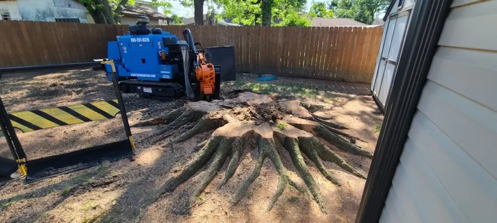 Reliable lawn care service in Slidell, LA by Jayroe's Stump Grinding