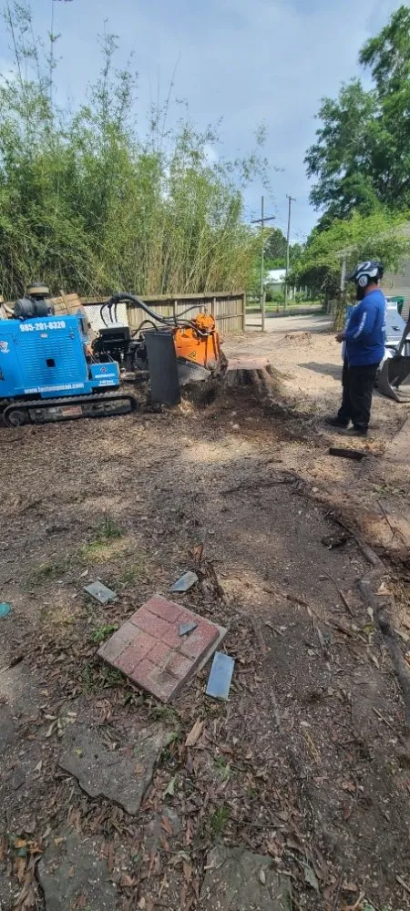 Local landscape design in Slidell, LA by Jayroe's Stump Grinding