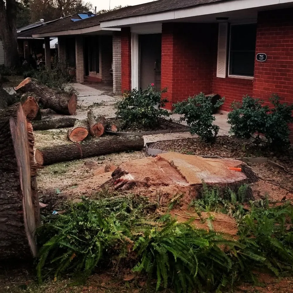 Affordable landscape installation with custom design in Slidell, LA by Jayroe's Stump Grinding