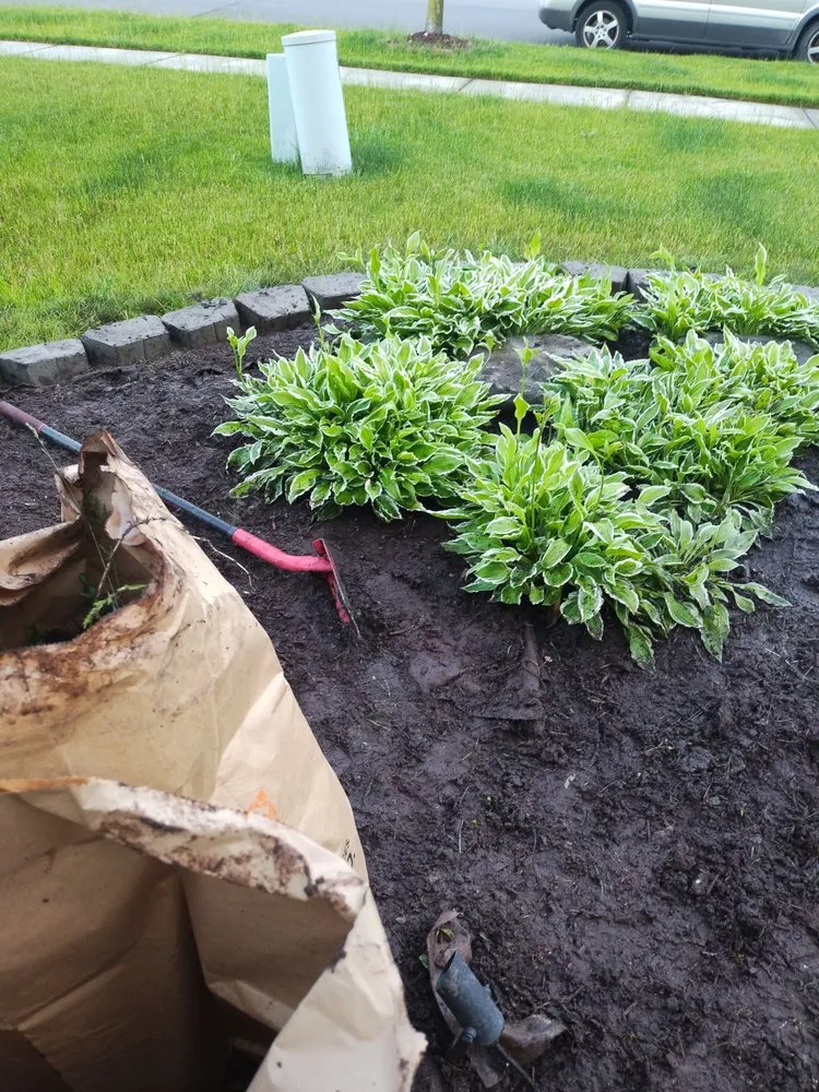 Custom lawn mowing service for outdoor upgrades across Taylor, MI - Jays Affordable Lawn service