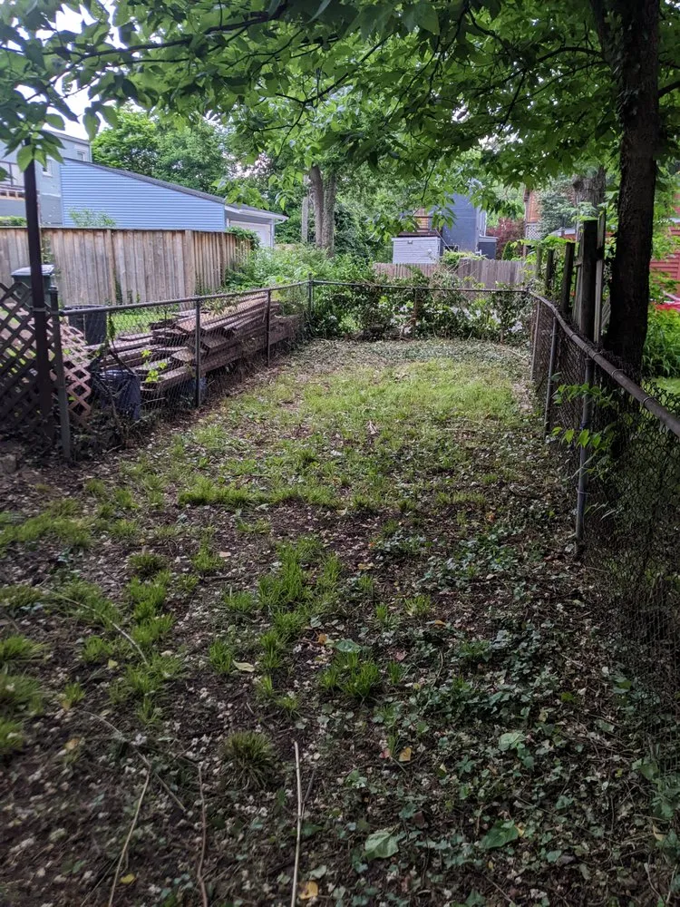 Affordable yard cleanup service for homes in Cincinnati, OH by Jays Clean Cut