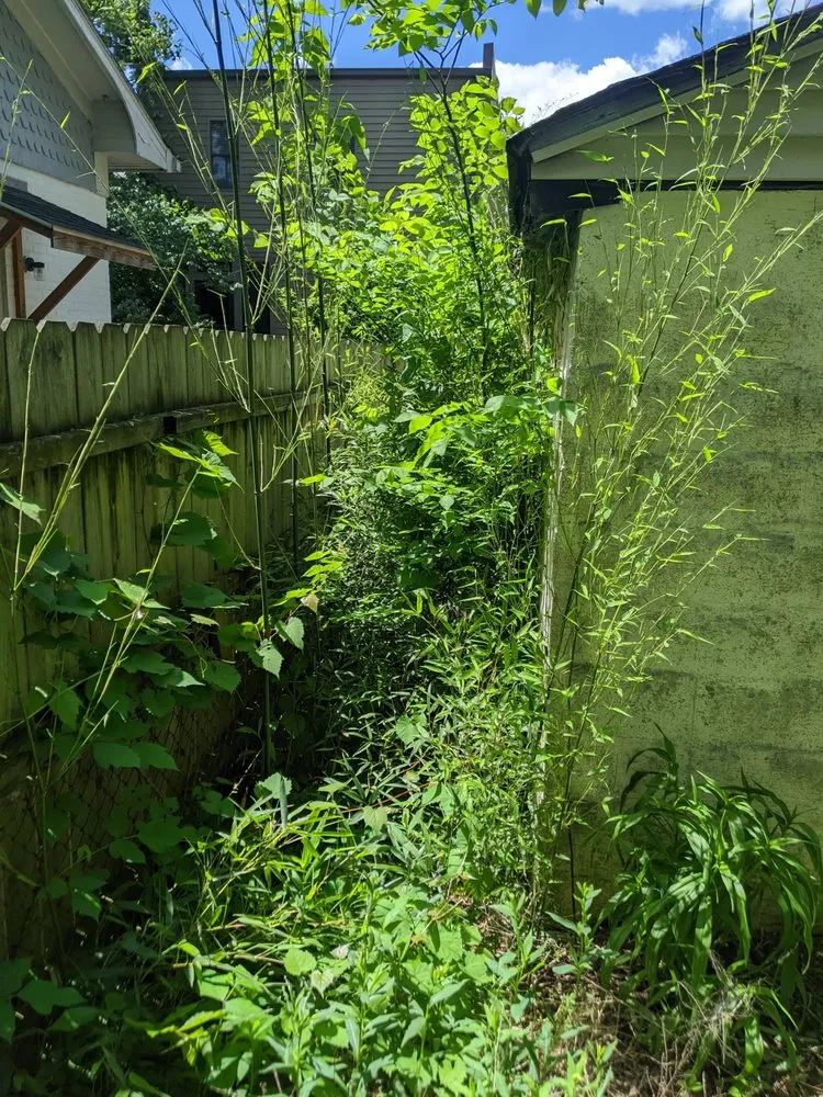 Top-rated landscape installation for residential properties across Cincinnati, OH - Jays Clean Cut