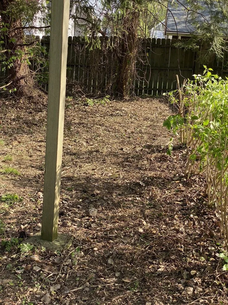 Affordable yard maintenance experts serving Cincinnati, OH - Jays Clean Cut