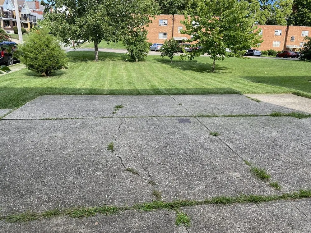 Trusted yard maintenance for residential properties across Cincinnati, OH - Jays Clean Cut