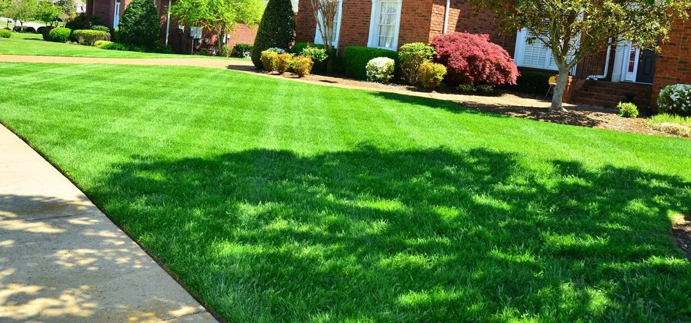 Reliable lawn care service for residential properties in San Angelo, TX by Jay's Clean Cut Lawn Care