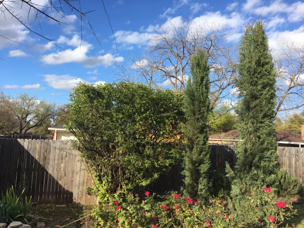 Local outdoor landscaping for homes across San Angelo, TX - Jay's Clean Cut Lawn Care