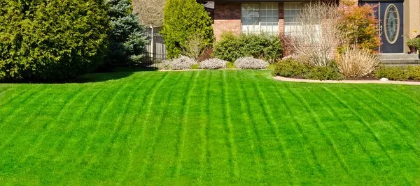 Jay's Clean Cut Lawn Care Logo