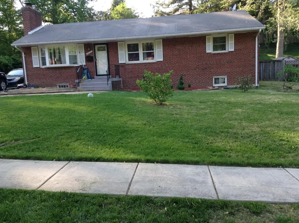 Custom yard cleanup service for year-round maintenance in Glenn Dale, MD by Jay's Curb Appeal, LLC