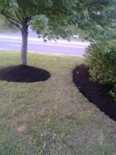 Top-rated yard maintenance experts serving Glenn Dale, MD - Jay's Curb Appeal, LLC