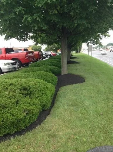 Trusted yard cleanup service with custom design in Glenn Dale, MD by Jay's Curb Appeal, LLC