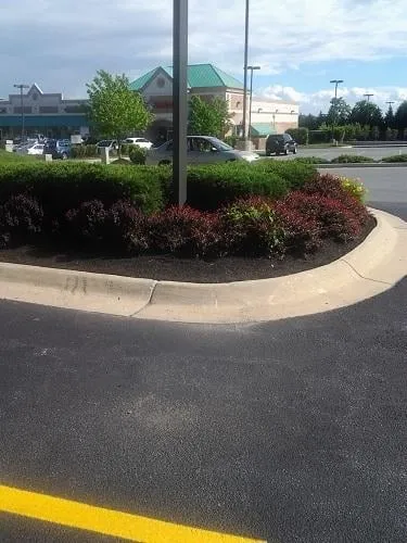 Top-rated residential landscaping near you in Glenn Dale, MD by Jay's Curb Appeal, LLC