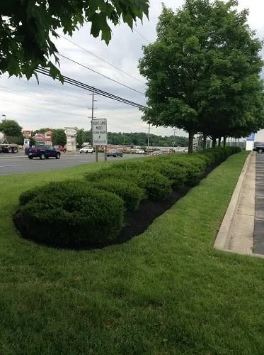 Local residential landscaping in Glenn Dale, MD - Jay's Curb Appeal, LLC
