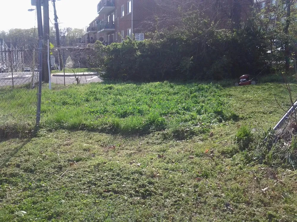 Local landscape installation experts serving Glenn Dale, MD - Jay's Curb Appeal, LLC