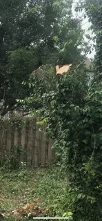 Custom outdoor landscaping in Perryville, MO by Jay's Firewood & Mulch