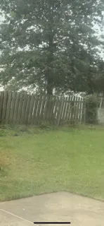 Affordable yard cleanup service in Perryville, MO - Jay's Firewood & Mulch