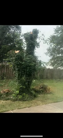 Expert yard cleanup service with custom design across Perryville, MO - Jay's Firewood & Mulch