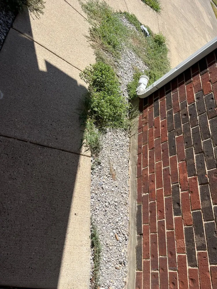 Expert garden landscaping experts serving Dallas, TX - Jay’s Got Service