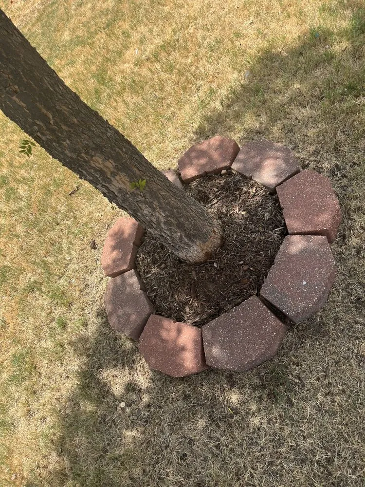 Affordable yard maintenance in Dallas, TX by Jay’s Got Service