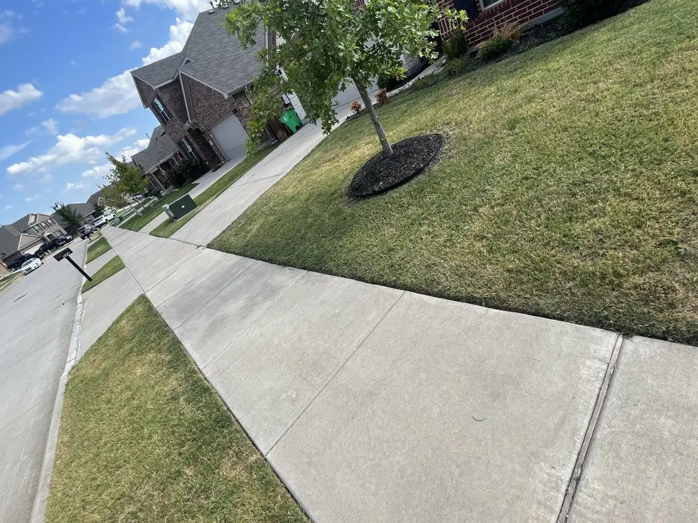 Professional lawn mowing service in Dallas, TX - Jay’s Got Service