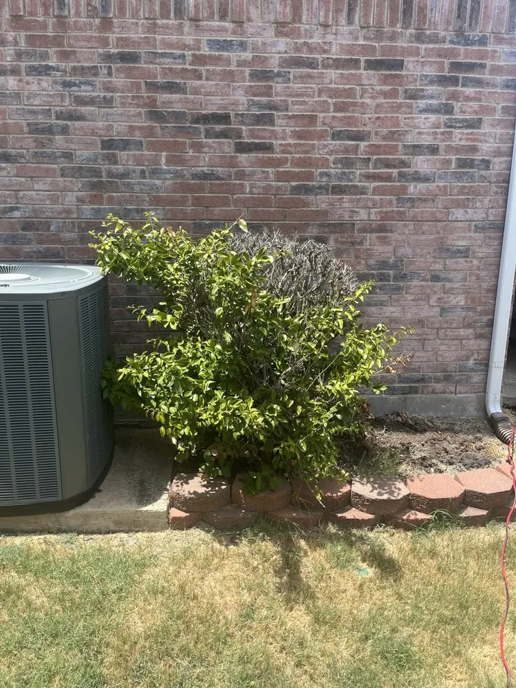 Local residential landscaping in Dallas, TX - Jay’s Got Service