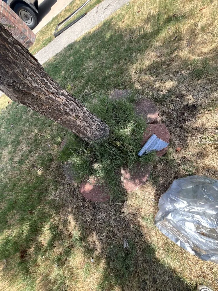 Custom landscaping services for homes in Dallas, TX by Jay’s Got Service