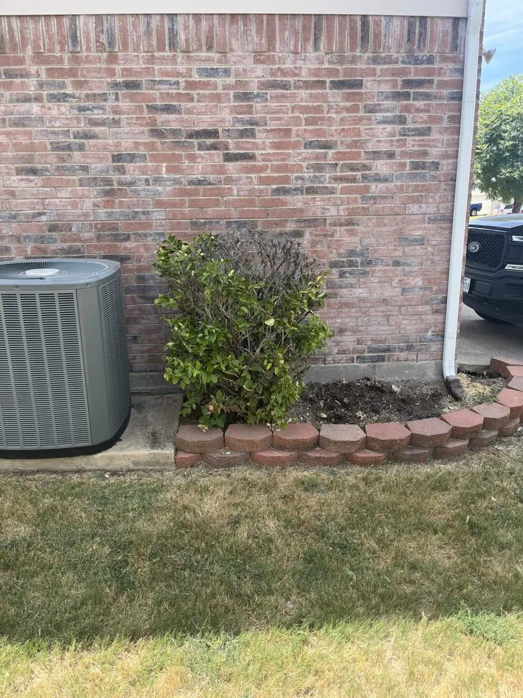 Custom lawn care service in Dallas, TX - Jay’s Got Service