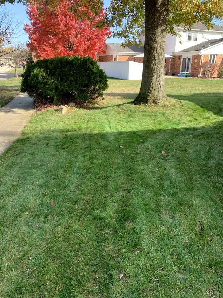 Affordable landscape installation for year-round maintenance in Clinton Township, MI by JAYS Julians Affordable Yard Services