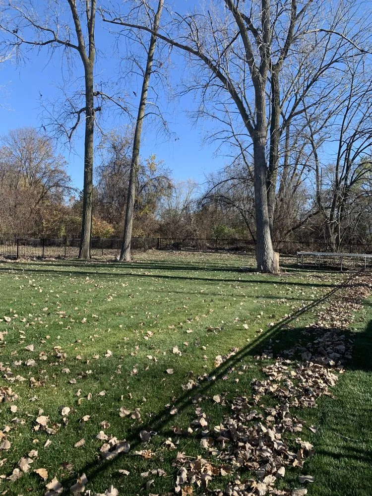 Custom landscaping services in Clinton Township, MI by JAYS Julians Affordable Yard Services