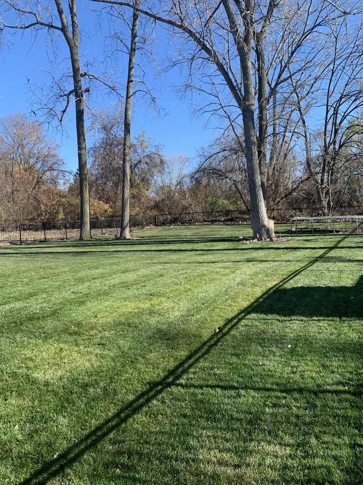 Custom yard maintenance for beautiful yards in Clinton Township, MI by JAYS Julians Affordable Yard Services