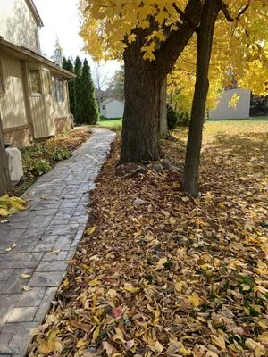 JAYS Julians Affordable Yard Services