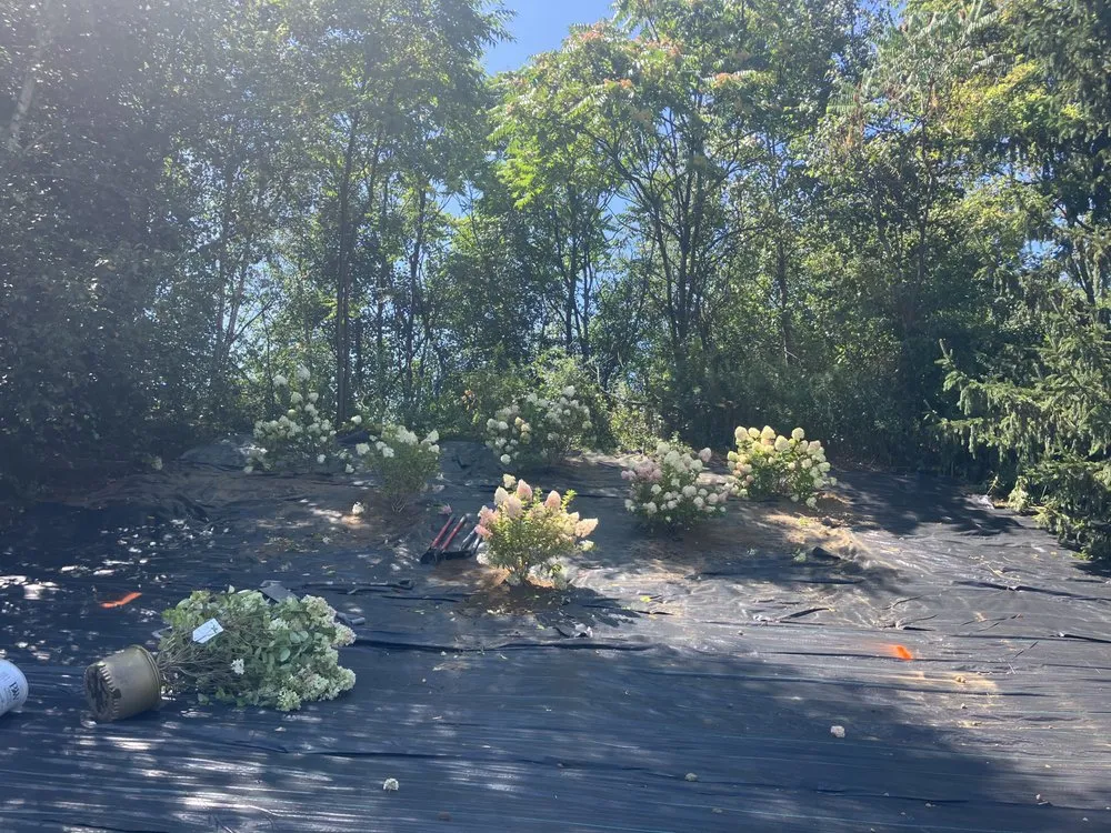 Affordable garden landscaping experts serving Wilkes-Barre, PA - Jay’s Junk Removal