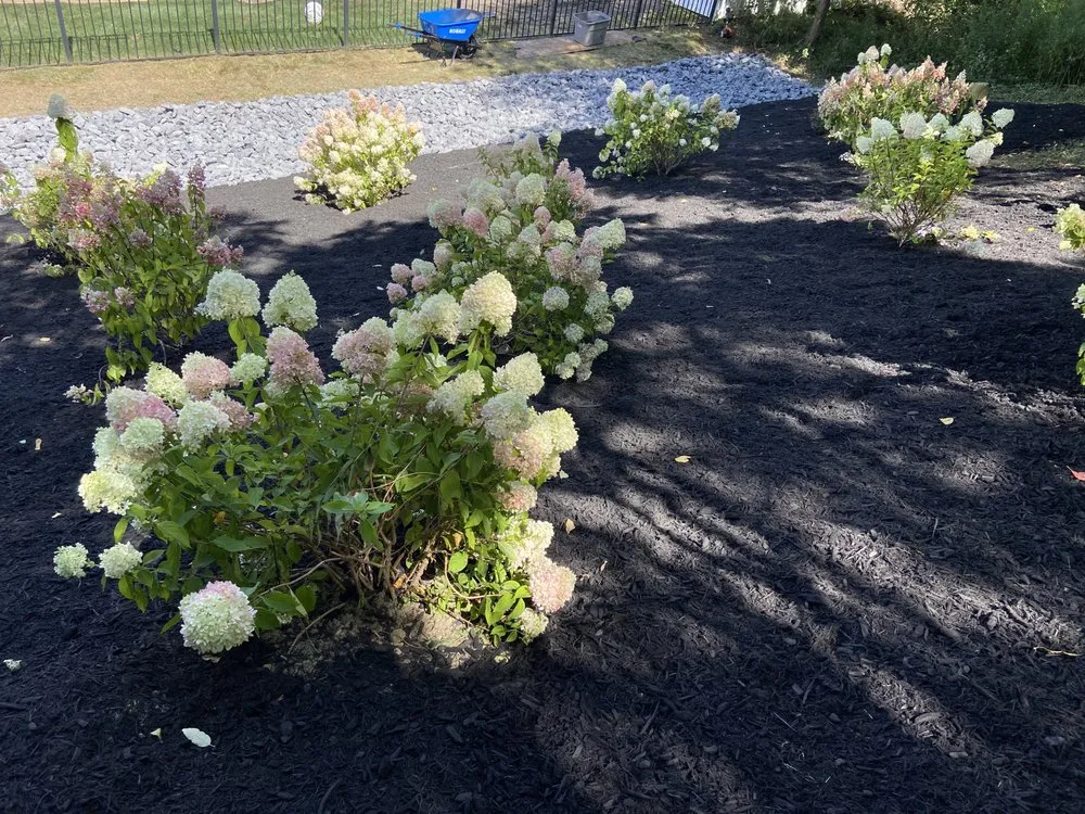 Top-rated landscape installation in Wilkes-Barre, PA by Jay’s Junk Removal