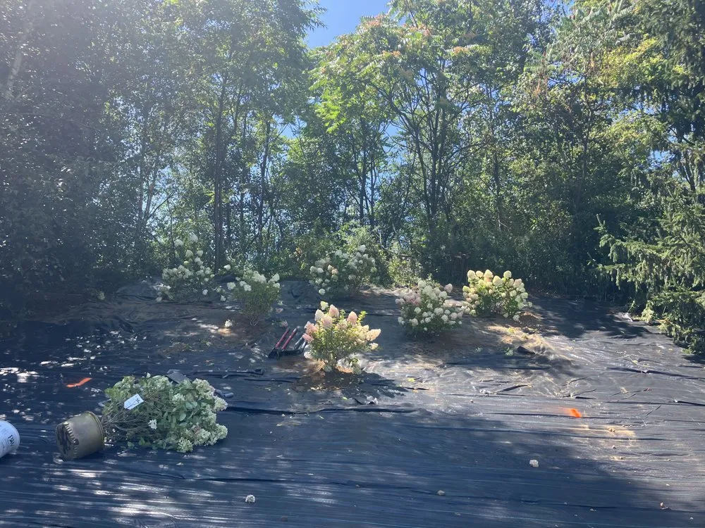 Professional garden landscaping with custom design across Wilkes-Barre, PA - Jay’s Junk Removal