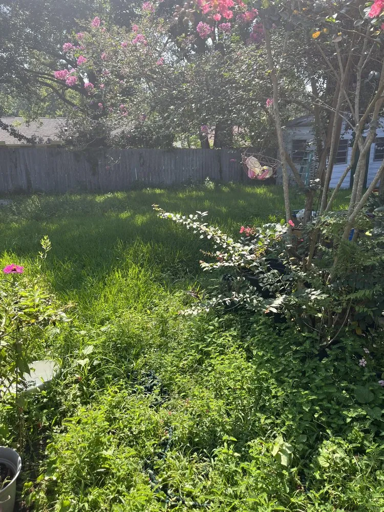 Professional yard cleanup service in Mobile, AL - Jays Landscape