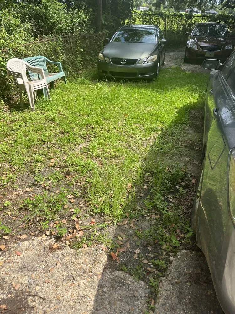 Local yard cleanup service in Mobile, AL - Jays Landscape