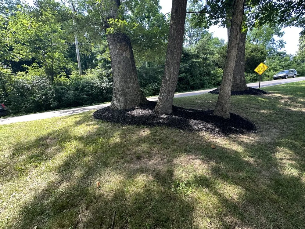 Local yard cleanup service experts serving Roseville, OH - Jay’s Landscape