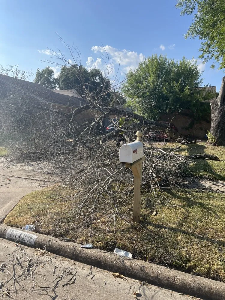 Professional yard cleanup service experts serving Sugar Land, TX - Jay’s landscaping and pressure washing services