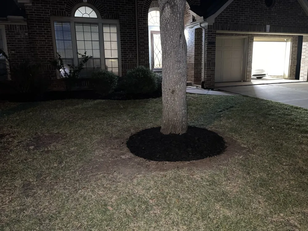 Expert yard maintenance in Sugar Land, TX by Jay’s landscaping and pressure washing services