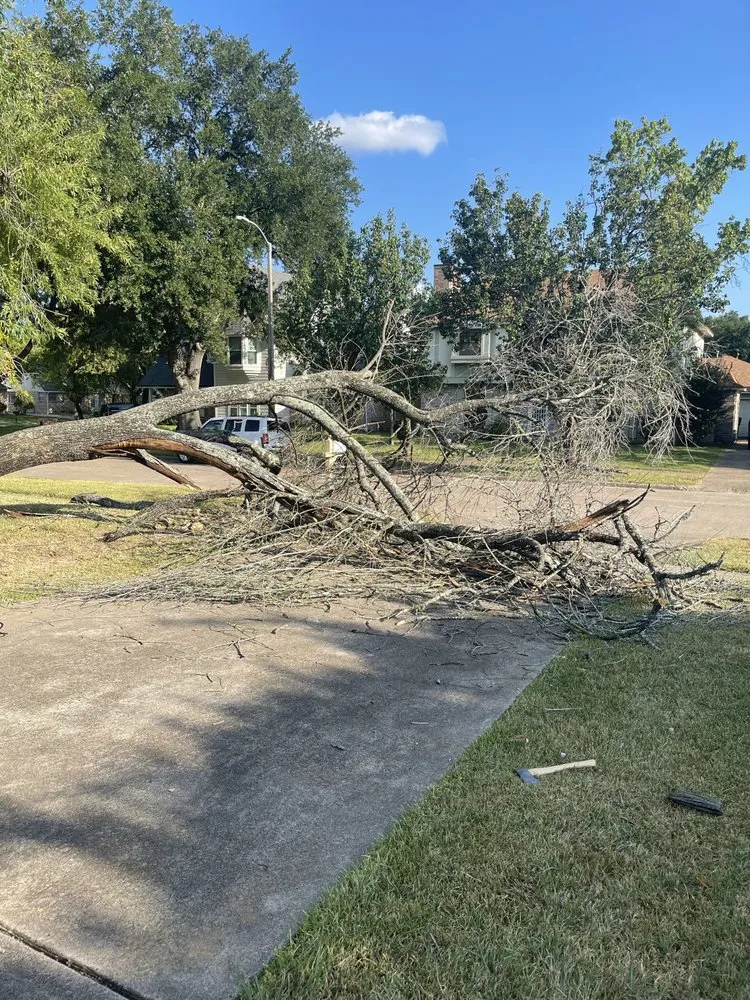 Affordable lawn mowing service experts serving Sugar Land, TX - Jay’s landscaping and pressure washing services