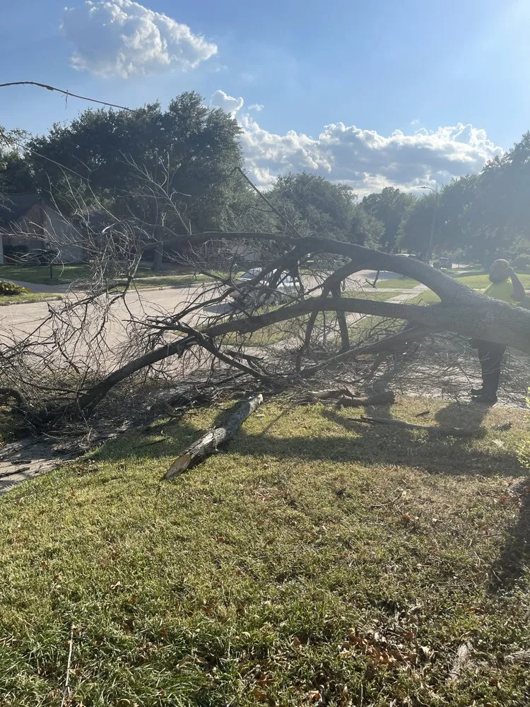 Custom residential landscaping in Sugar Land, TX by Jay’s landscaping and pressure washing services