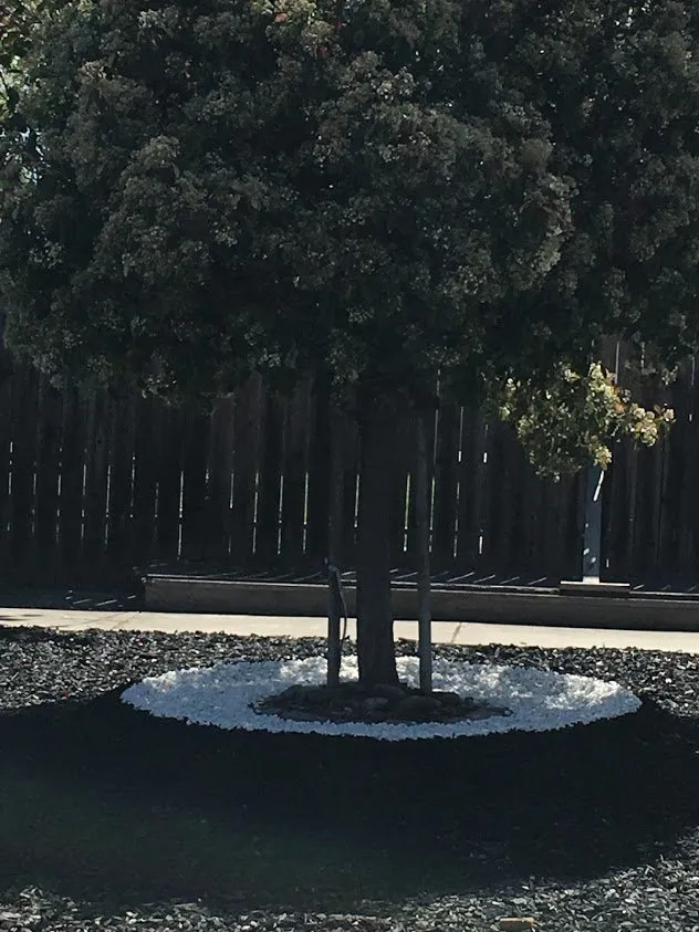 Affordable residential landscaping for homes in Brentwood, CA by Jays Landscaping