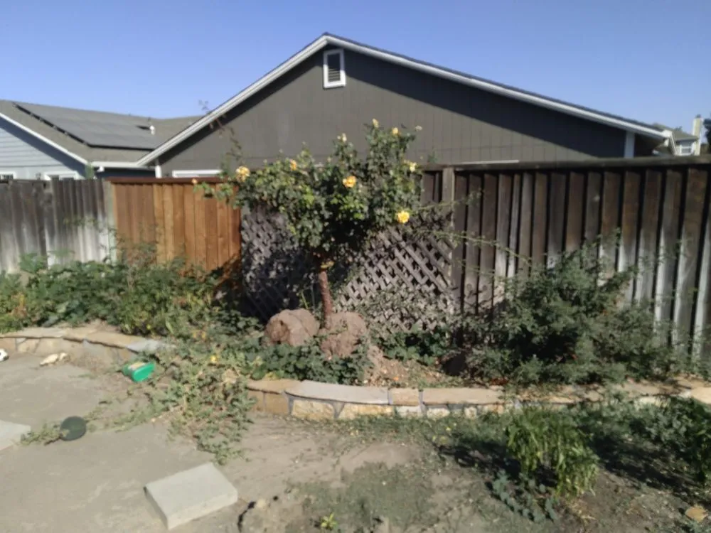 Affordable garden landscaping in Brentwood, CA by Jays Landscaping