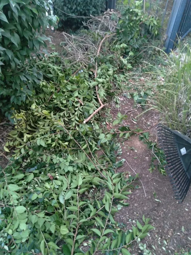 Reliable garden landscaping for residential properties in Brentwood, CA by Jays Landscaping