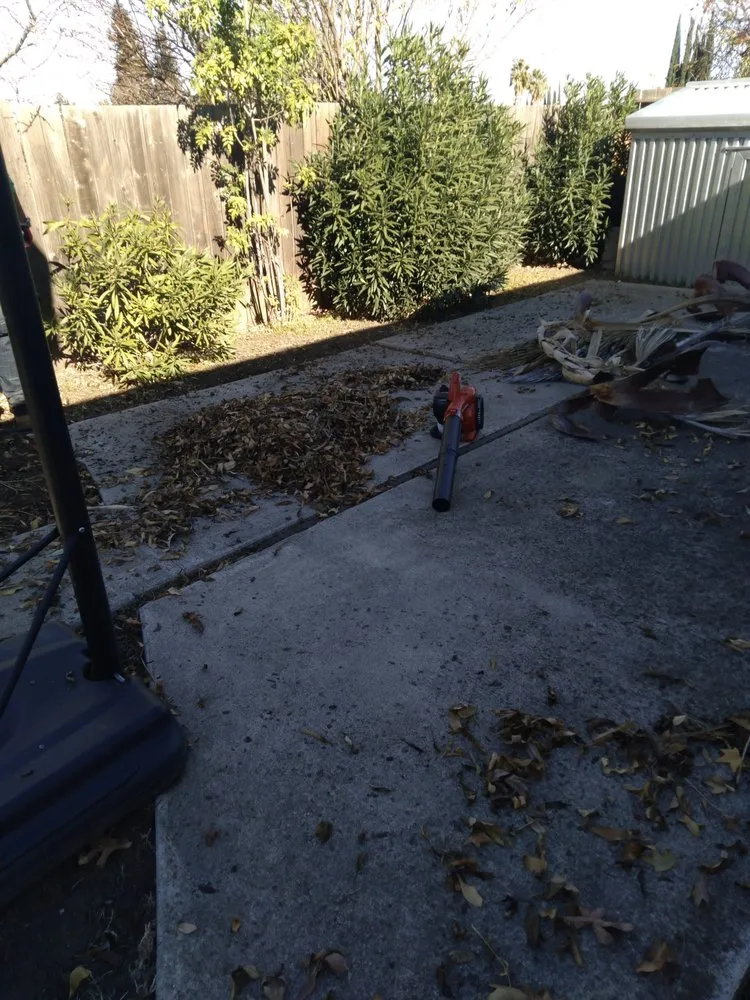 Custom lawn mowing service for residential properties across Brentwood, CA - Jays Landscaping