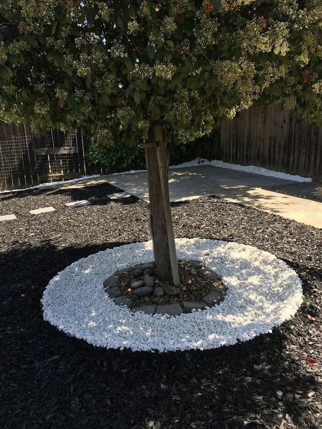 Local yard maintenance for beautiful yards in Brentwood, CA by Jays Landscaping