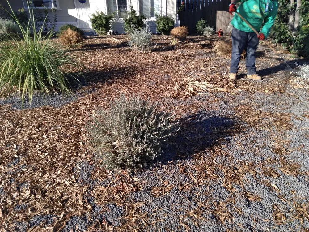 Custom landscaping services with custom design across Brentwood, CA - Jays Landscaping